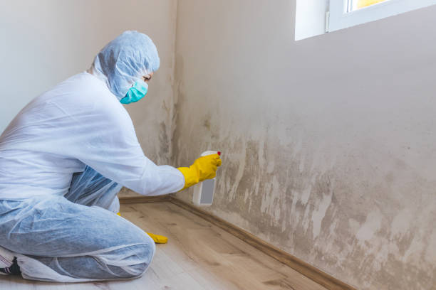 Mold Remediation specialist working in Poquoson