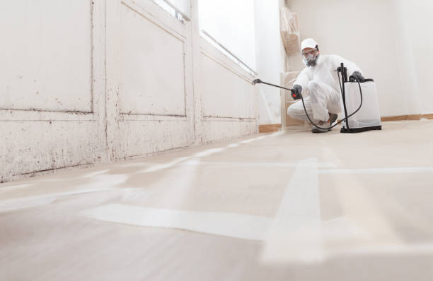 Black mold remediation team in Poquoson