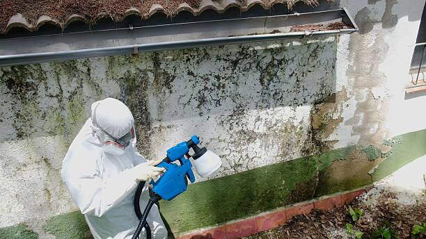 Mold Removal service in Poquoson